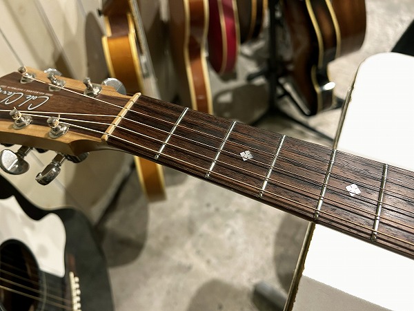 Cole Clark ANGEL AN2 SR 生アコースティック仕様 - Teenarama! Used